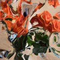 Anna Sidi-Yacoub-min